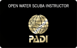 PADI PADI